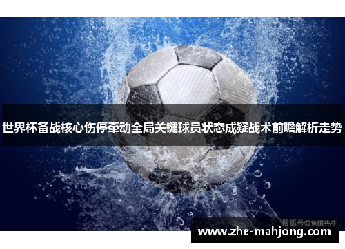 世界杯备战核心伤停牵动全局关键球员状态成疑战术前瞻解析走势